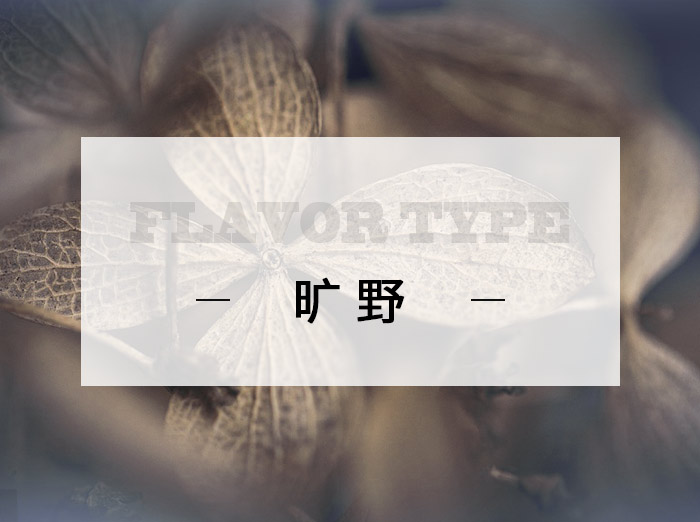 曠野/Wilderness