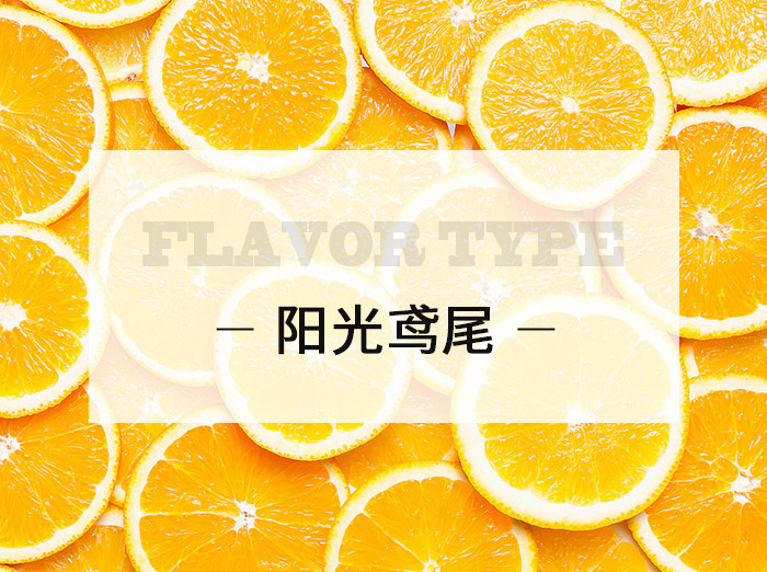 陽光鳶尾/Sunshine iris