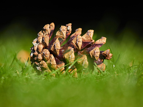 芝蘭空間,香氛系統(tǒng),空間香氛,香薰設(shè)備,香薰精油,香氛禮品定制
