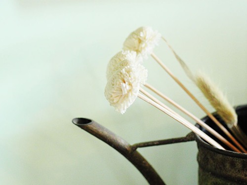 芝蘭空間,香氛系統(tǒng),空間香氛,香薰設(shè)備,香薰精油,香氛禮品定制