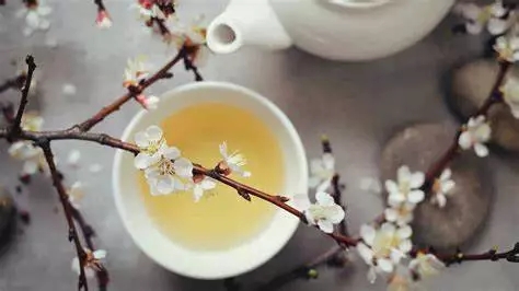 芝蘭空間,香氛系統(tǒng),空間香氛,香薰設(shè)備,香薰精油,香氛禮品定制