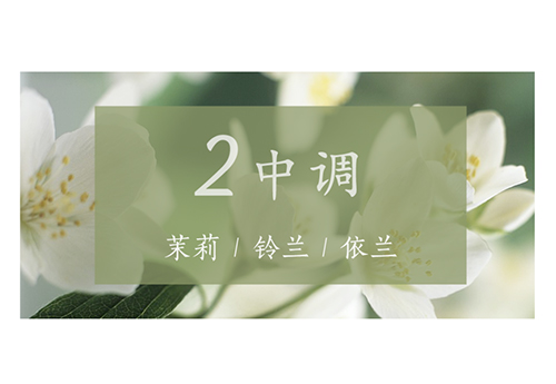 芝蘭空間,香氛系統(tǒng),空間香氛,香薰設(shè)備,香薰精油,香氛禮品定制