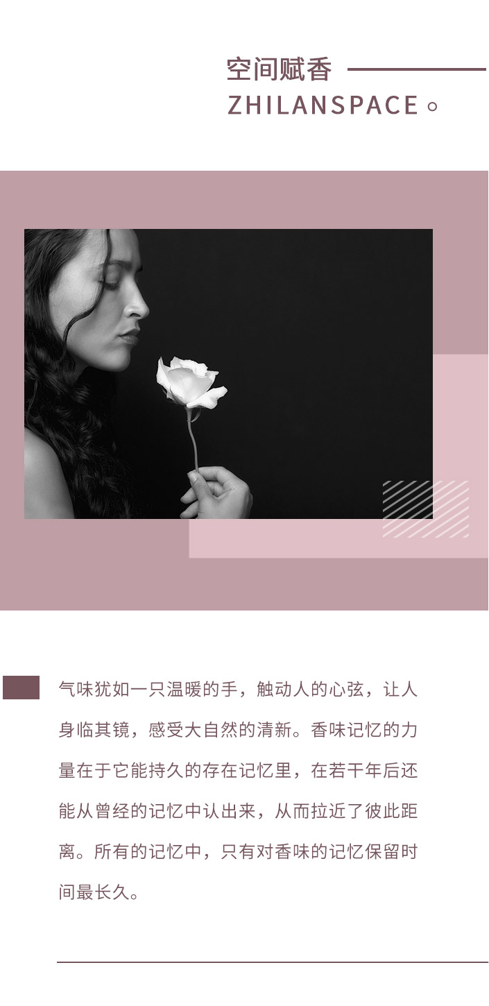 香型