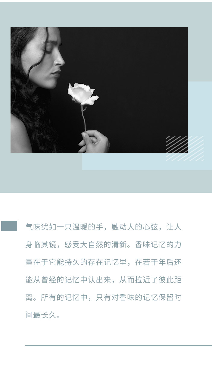 香型
