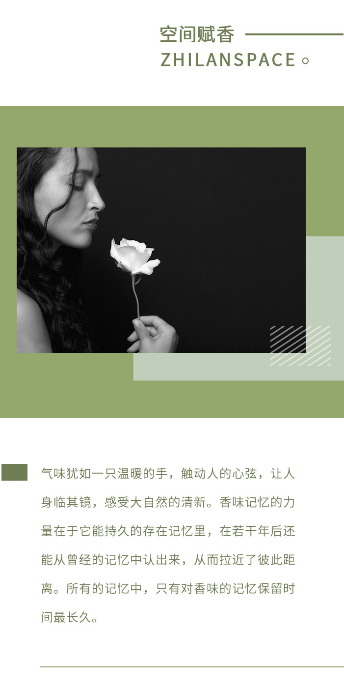 香型