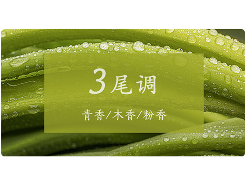 芝蘭空間,香氛系統(tǒng),空間香氛,香薰設(shè)備,香薰精油,香氛禮品定制