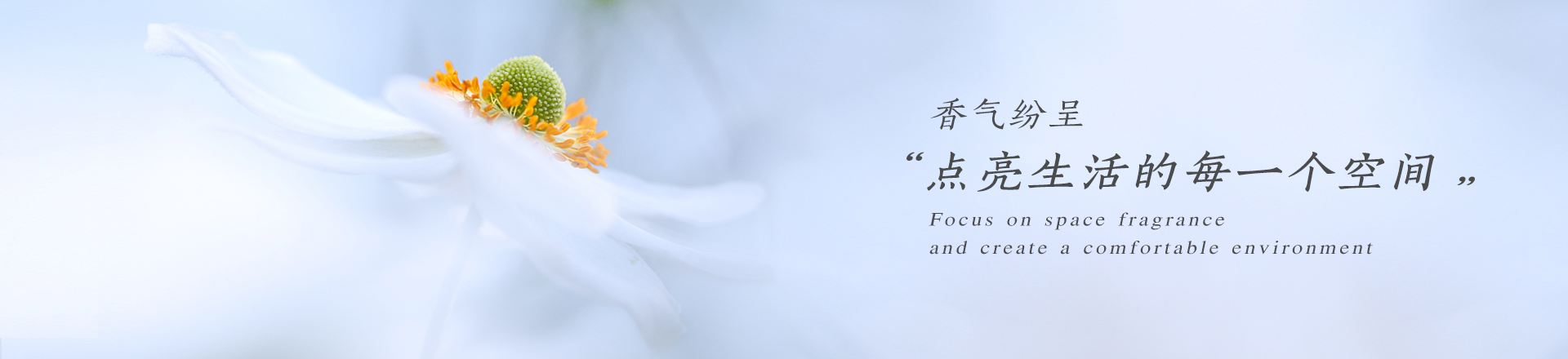 湖南芝蘭空間環(huán)?？萍加邢薰尽臻g香氛|凈化空間|擴香設備|香氛精油|香氛禮品定制