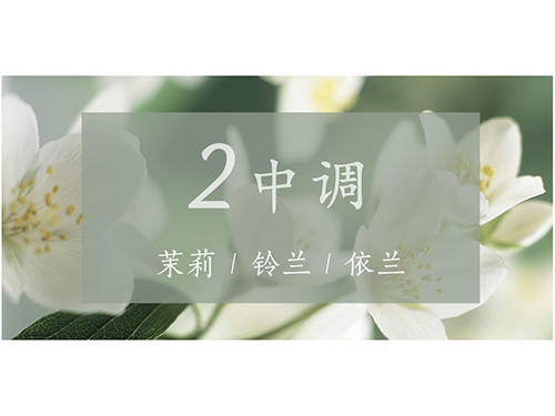 芝蘭空間,香氛系統(tǒng),空間香氛,香薰設備,香薰精油,香氛禮品定制