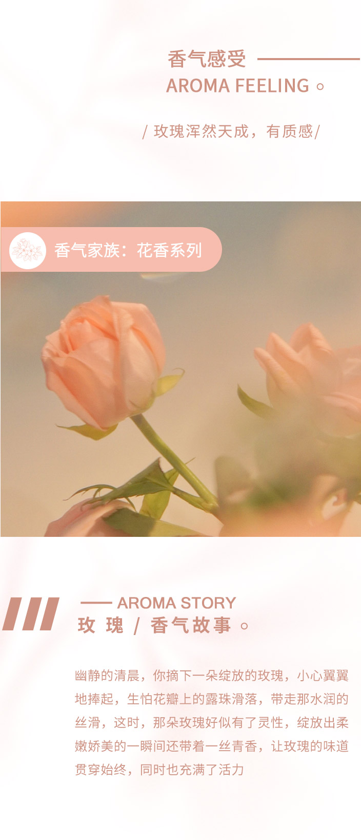 香型