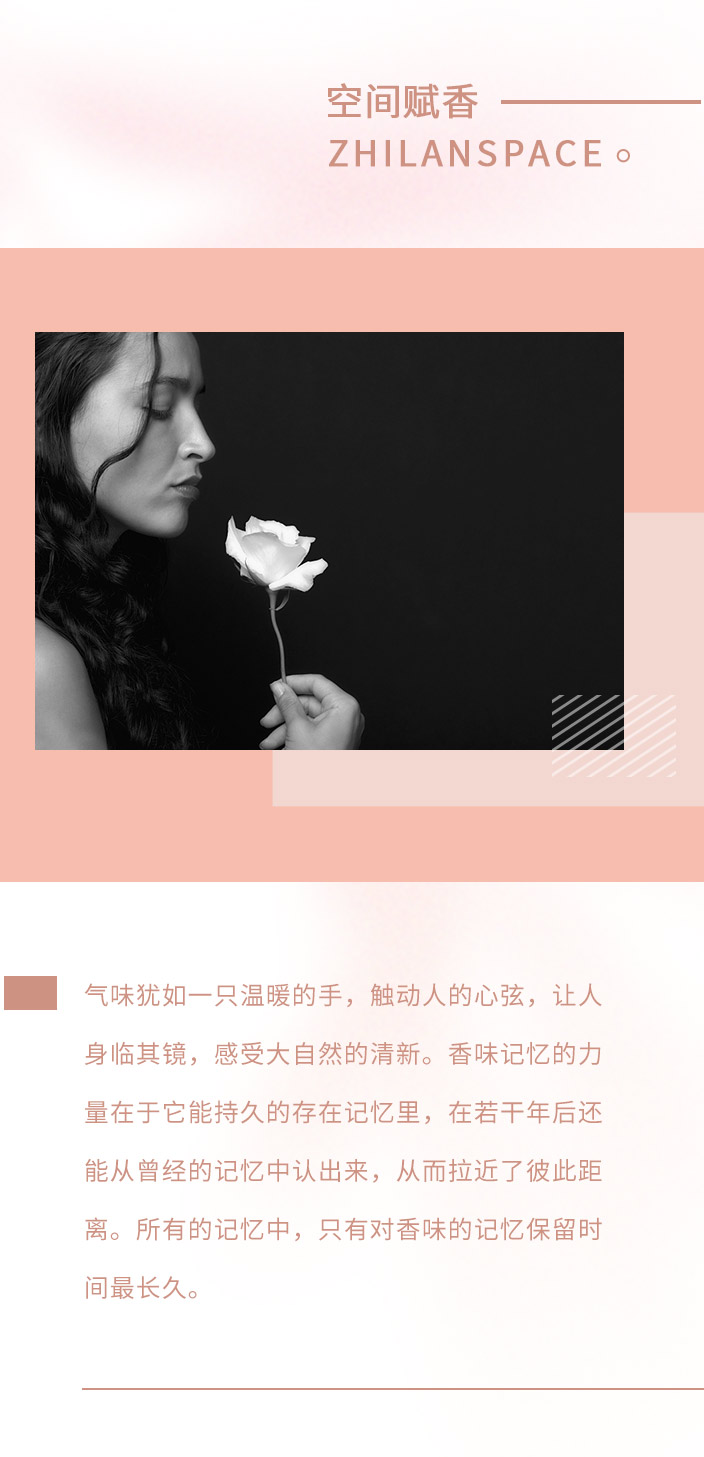 香型