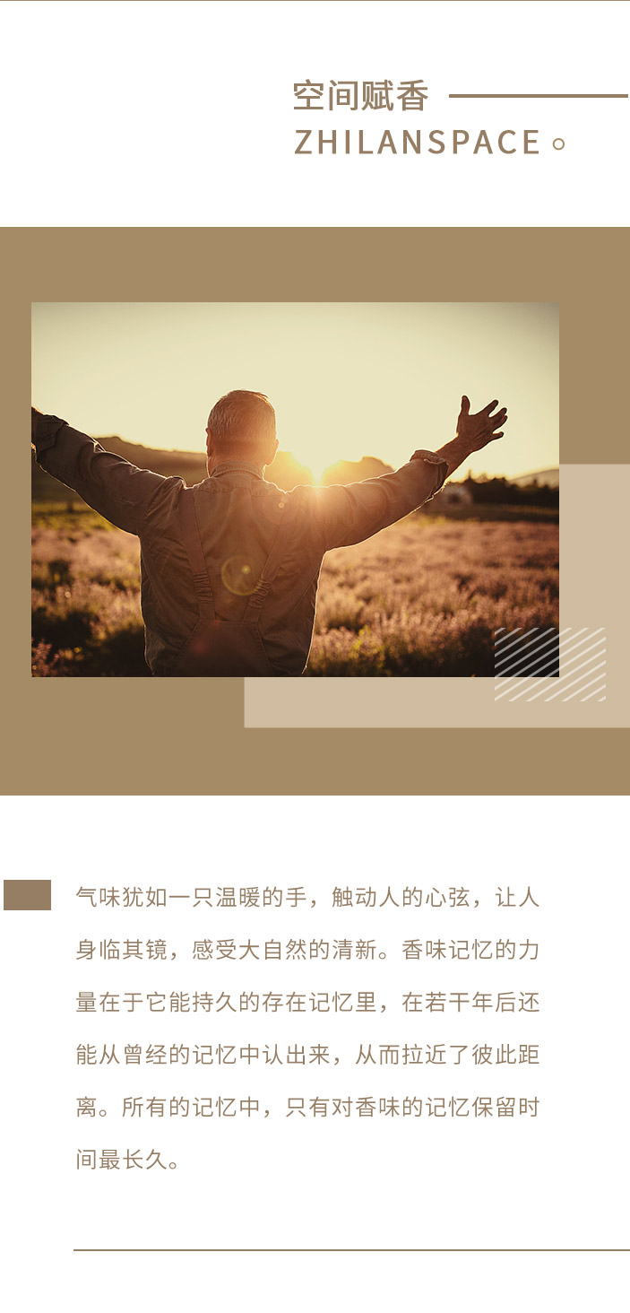 香型