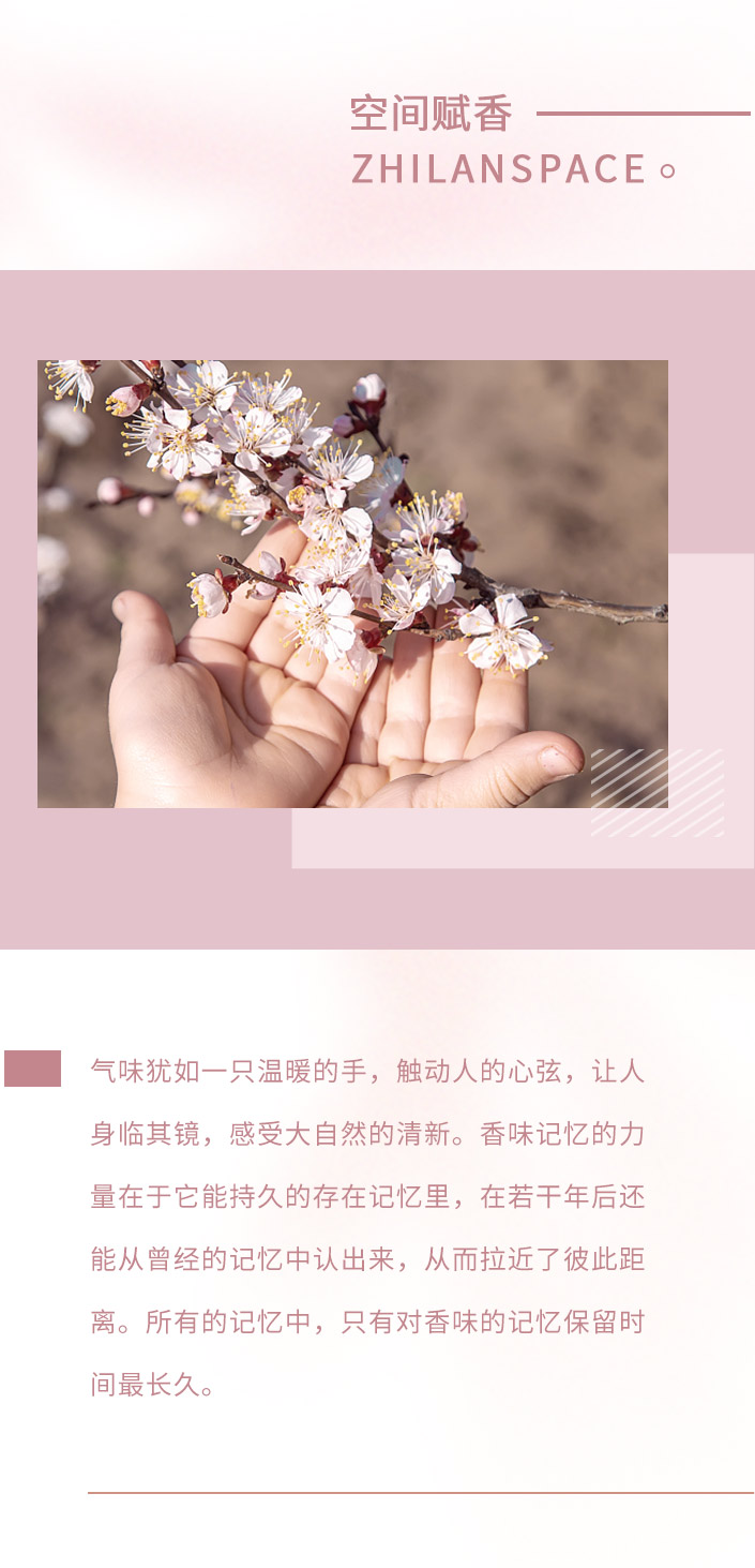 香型