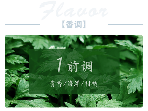 芝蘭空間,香氛系統(tǒng),空間香氛,香薰設(shè)備,香薰精油,香氛禮品定制
