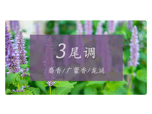 芝蘭空間,香氛系統(tǒng),空間香氛,香薰設(shè)備,香薰精油,香氛禮品定制